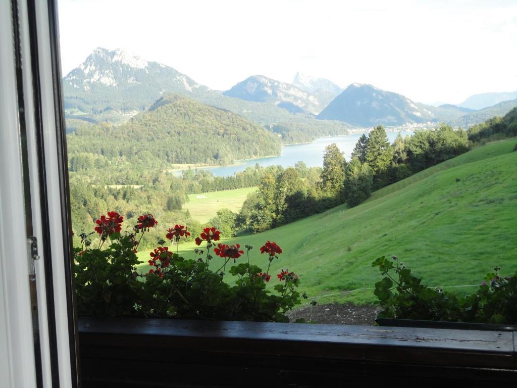 Bauernhof Strumegg Villa Hof bei Salzburg Kamer foto